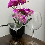Renma Caffarella House * 로마